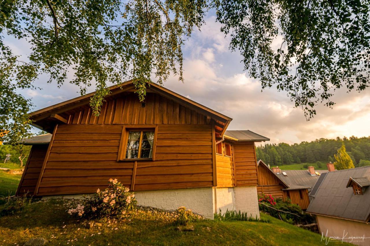 Teatralna1 Villa Piechowice  Exteriör bild
