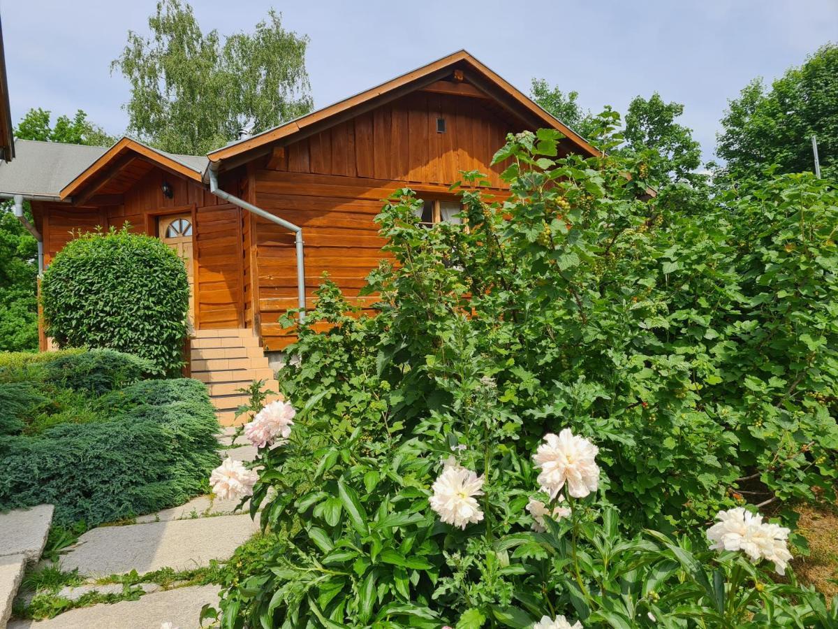 Teatralna1 Villa Piechowice  Exteriör bild